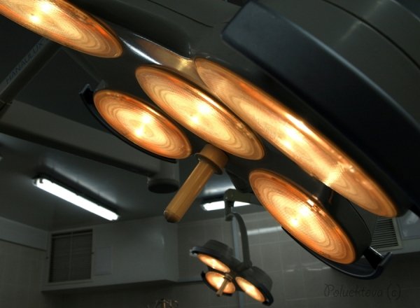 Фотовиставка Тетяни Полуектової